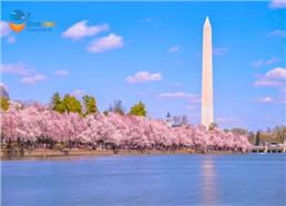 Tour Liên Tuyến Đông Tây Hoa Kỳ Mùa Hoa Anh Đào 2026